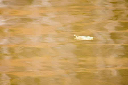 reflection autumn in water lake, abstract backgroundの写真素材
