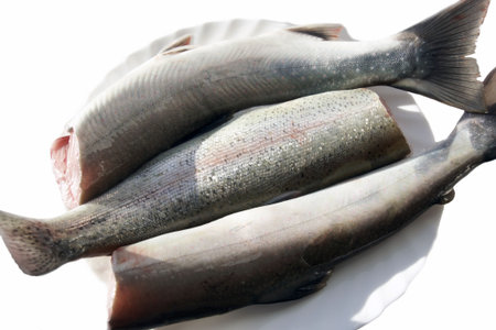 fresh prepared fish for preparation