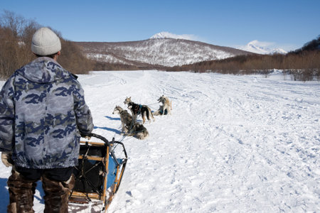 racing on dogs team on the north folk of the Russia