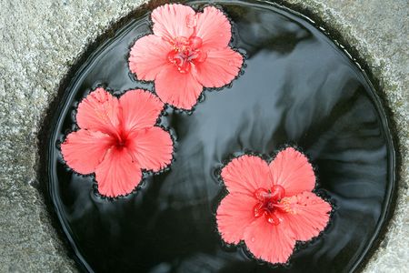 figuration spa, drop in water the beautiful red flowerの写真素材