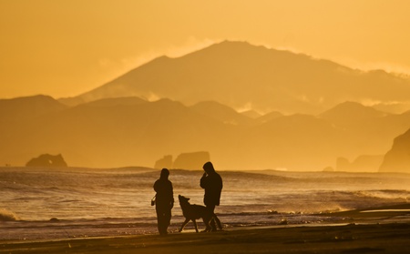 silhouettes of the men, woman and dog walking on oceansideの写真素材