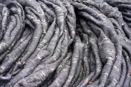 Smooth, undulating surface of black frozen lava. Frozen lava wrinkled in tapestry-like folds and rollsの写真素材