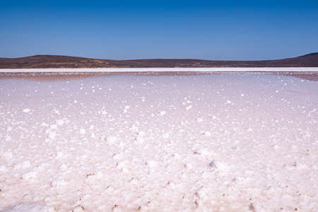 beautiful view of the pink salt lake with salt crystals and brown mountains on the horizonの写真素材