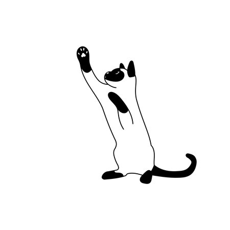 Vector illustration of a Thai kitten playingのイラスト素材