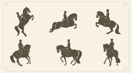 Set of stylized silhouettes, classic dressageのイラスト素材