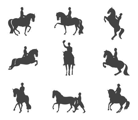 Set of silhouettes, a man on a horse, classic dressageのイラスト素材