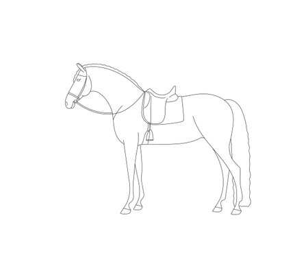 Beautiful horse saddled for trainingのイラスト素材