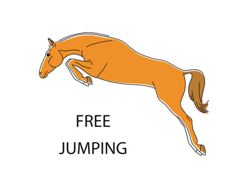 Sport horse jumping of styleのイラスト素材
