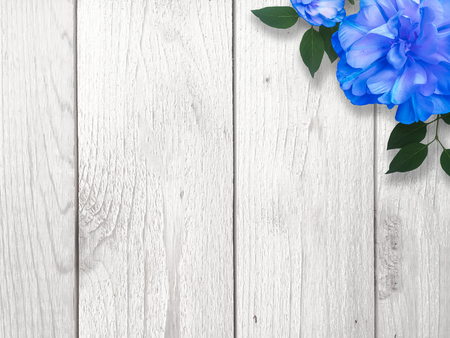 Blue Flower Cornerの写真素材