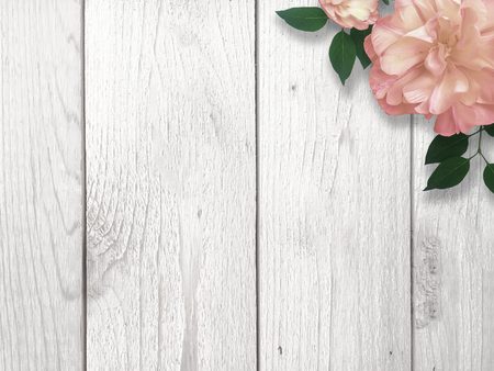 Pink Flower Borderの写真素材