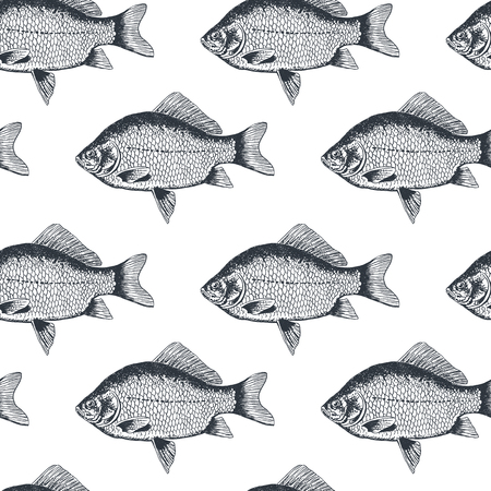 Fish crucian carp, isolated black and white, side view.のイラスト素材