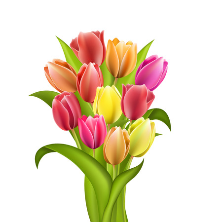 Set of five different color tulips isolatedのイラスト素材