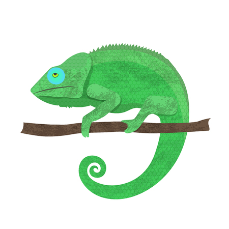 Chameleon icon. Cartoon illustration of walking chameleon vector for webのイラスト素材