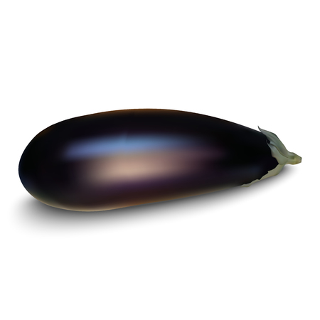Eggplant Isolated with clipping path on a white backgroundのイラスト素材