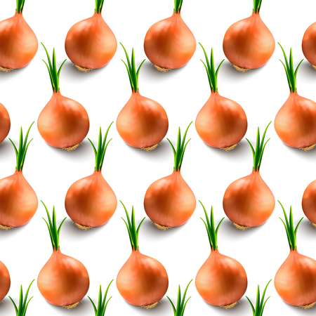 Bulb onions and green onions isolated on a white background.のイラスト素材