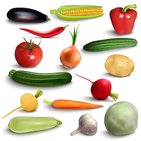vegetables or veggies farmer harvest, exotic tropical juicy fruits, forest or garden berries and herbal spices or spicy condiments and seasonings. Vector isolated icons setのイラスト素材