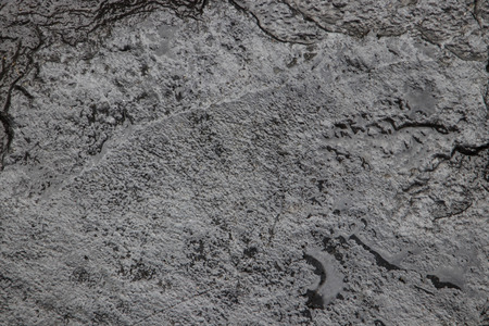 Black wet stone texture.の写真素材