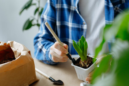 Young woman transplanting hyacinths into a new pot. springtime. Concept of indoor garden home.の写真素材
