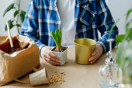 gardening at home. A gardener girl transplants a hyacinth into a pot with earth standing at the table at home. springtime.の写真素材
