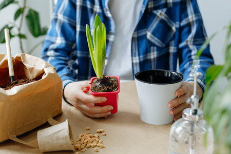 cropped shot of woman in plaid shirt holding pot with hyacinth plantの写真素材