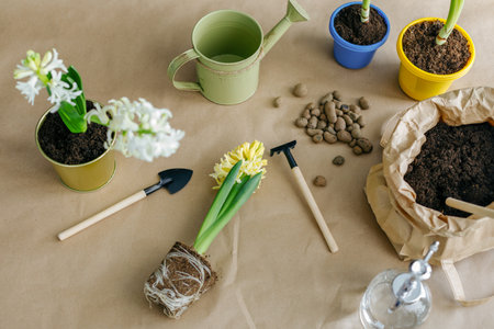 Gardening tools and hyacinths on a beige backgroundの写真素材