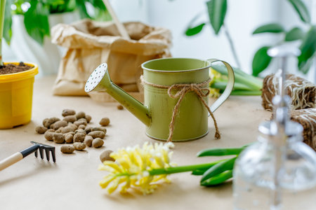Gardening tools, watering can and hyacinth flowers on tableの写真素材