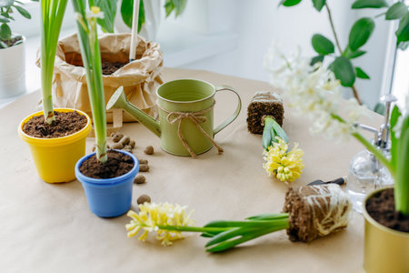 Gardening tools on table with hyacinths in potsの写真素材