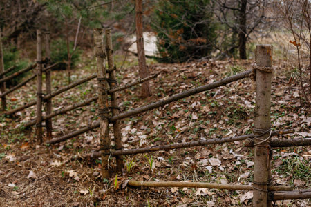 Wooden fence in the forest. The fence is made of wood.の写真素材