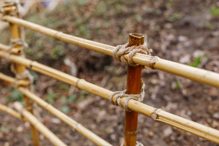 Bamboo fence made of bamboo rods and rope, close-upの写真素材