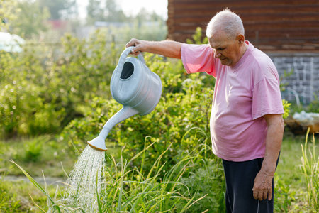 Elderly man watering plants in the garden with a watering can on a summer day at sunsetの写真素材