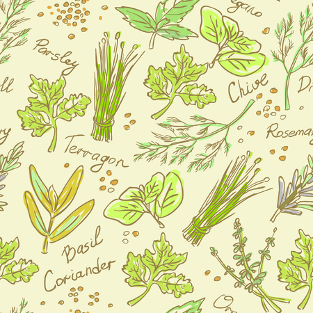 Seamless Pattern Herbs set, vector hand drawn illustrationのイラスト素材