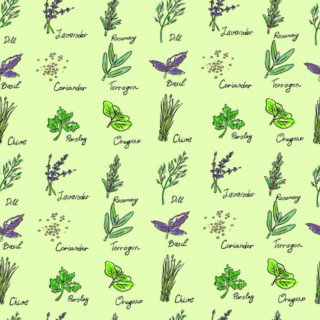 Seamless Pattern Herbs set, vector hand drawn illustrationのイラスト素材