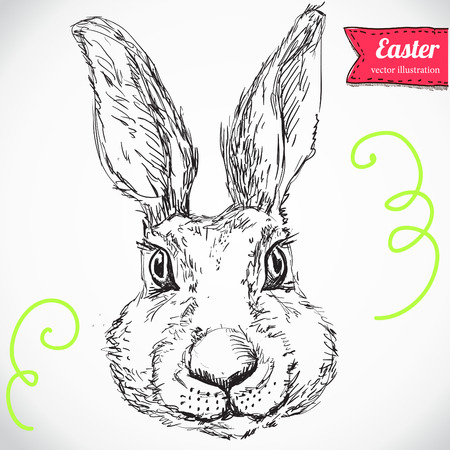 Hand Drawn Vector Portrait of Bunny  and Tuxedo, Party Lookのイラスト素材