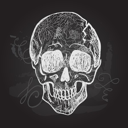 Day of The Dead black and white Skull.のイラスト素材