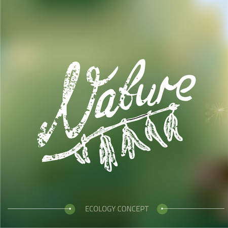 Nature color background. Vector illustration.の写真素材