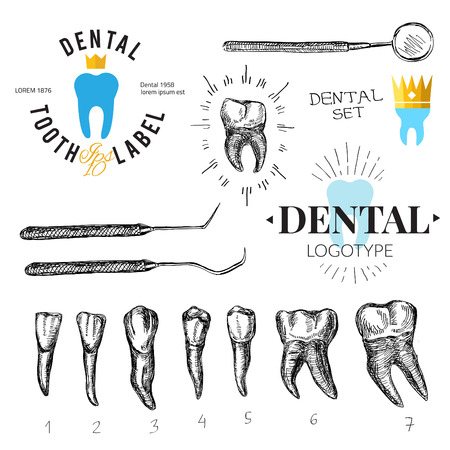 Dental labels and icons set. Vectorのイラスト素材