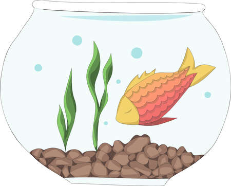 Goldfish in aquarium with stones and seaweeds.のイラスト素材