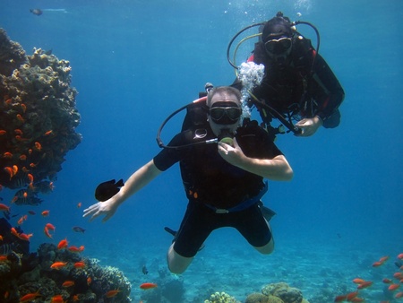 two adult scuba divers in the Red Seaのeditorial素材