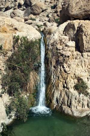Falls in national park Ein Gedi near the Dead Sea in Israelの写真素材