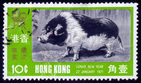 HONG KONG - CIRCA 1971  A stamp printed in the Hong Kong dedicated to the Chinese New Year, shows a wild boar, circa 1971の写真素材