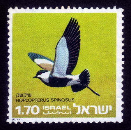 ISRAEL - CIRCA 1975  stamp printed in the Israel  from series Birds of Israel showing color image of bird the Spur-winged Lapwing or Spur-winged Plover ; hoplopterus spinosus , series, circa 1975のeditorial素材