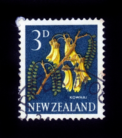 NEW ZEALAND - CIRCA 1964  A stamp printed in New Zealand show kowhai tree, which is endemic to New Zealand, series, circa 1964のeditorial素材