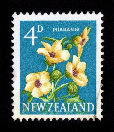 NEW ZEALAND - CIRCA 1960  A stamp printed in New Zealand shows New Zealand hibiscus, Puarangi, circa 1960の写真素材