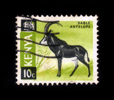 KENYA - CIRCA 1964: A stamp printed in Kenya shows Sable antelope, circa 1964の写真素材