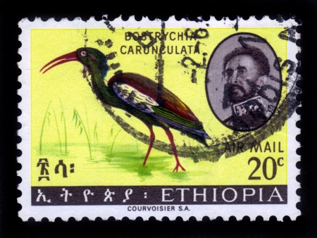 ETHIOPIA - CIRCA 1962 : A stamp printed in Ethiopia shows portrait of emperor Haile Selassie and bird wattled Ibis ( bostrychia carunculata ) , with the inscription in amharic , series, circa 1962のeditorial素材