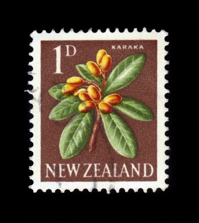 NEW ZEALAND - CIRCA 1967: A stamp printed in New Zealand shows flowers karaka - Corynocarpus laevigatus, circa 1967の写真素材