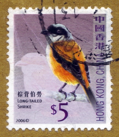 HONG KONG - CIRCA 2006: A stamp printed in Hong Kong, China shows long-tailed shrike or rufous-backed shrike, circa 2006のeditorial素材