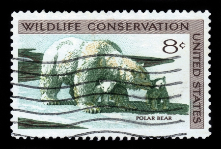 USA - CIRCA 1971  A Stamp printed in USA shows the Polar Bear and Cubs, Wildlife Conservation issue, circa 1971のeditorial素材