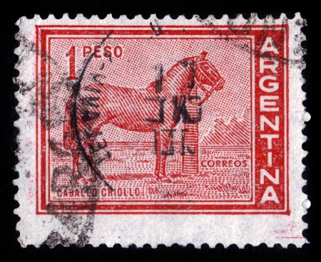 ARGENTINA - CIRCA 1959  A stamp printed in the Argentina shows argentine horse,Criollo mare   caballo criollo  ,  circa 1959のeditorial素材