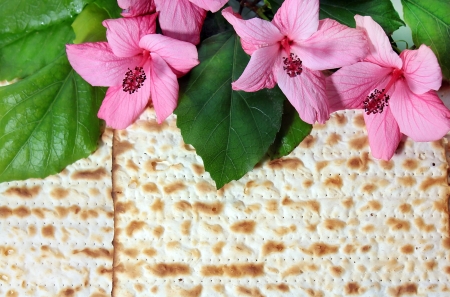 Pink hibiscus flower with biscuit backgroundの写真素材